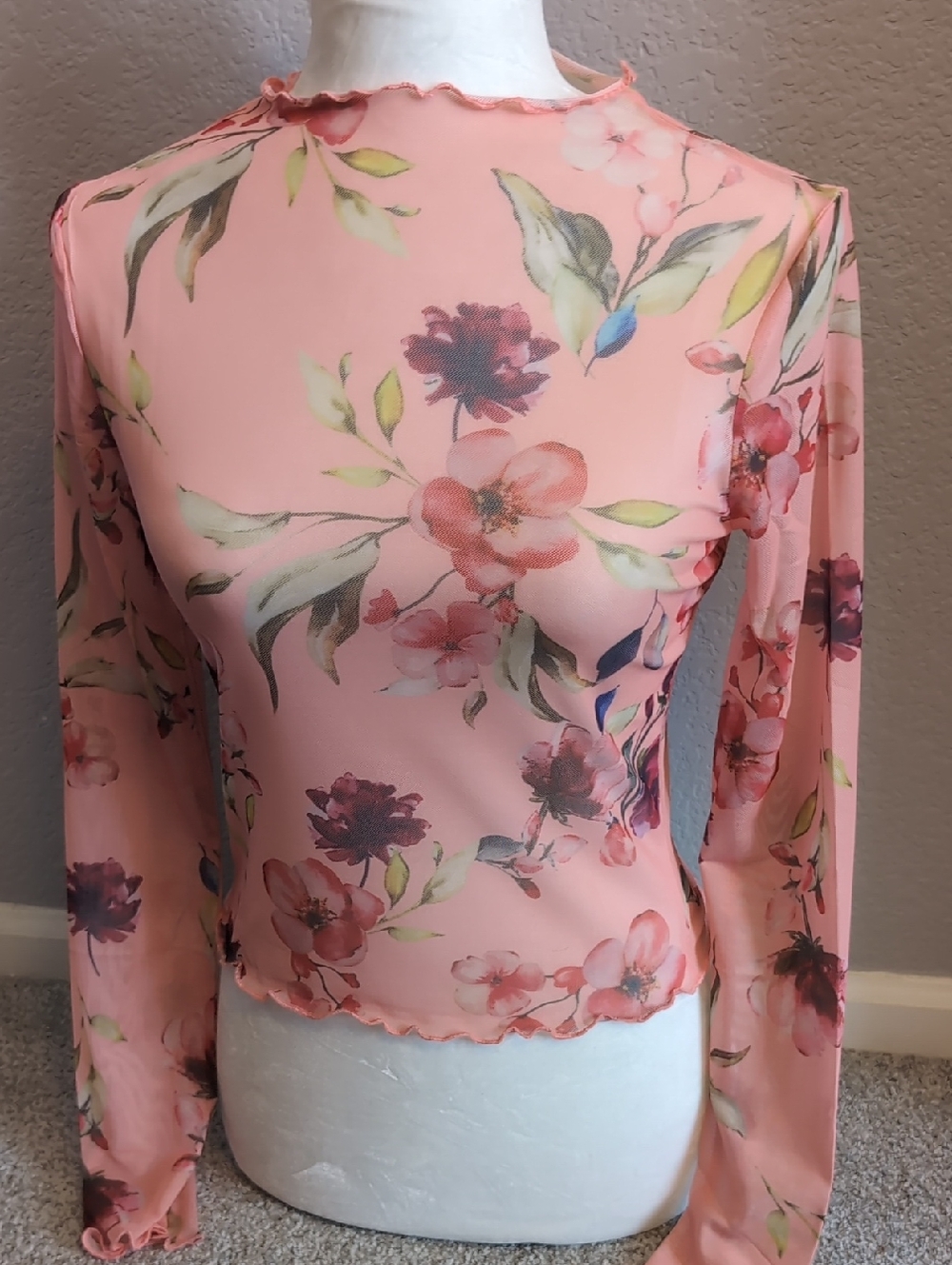 NWOT Floral Mesh Long-Sleeve Top in Blush Pink